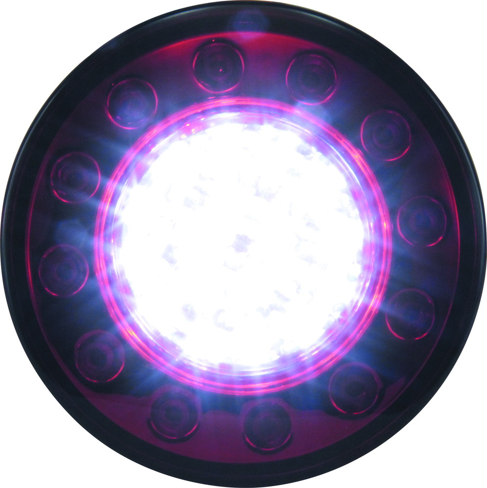 JTL-1103 LEDテール 単体 レッド/クリアー 共用 画像3