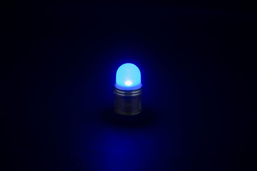 LED電球型キャンディバルブ 24V ブルー 画像4
