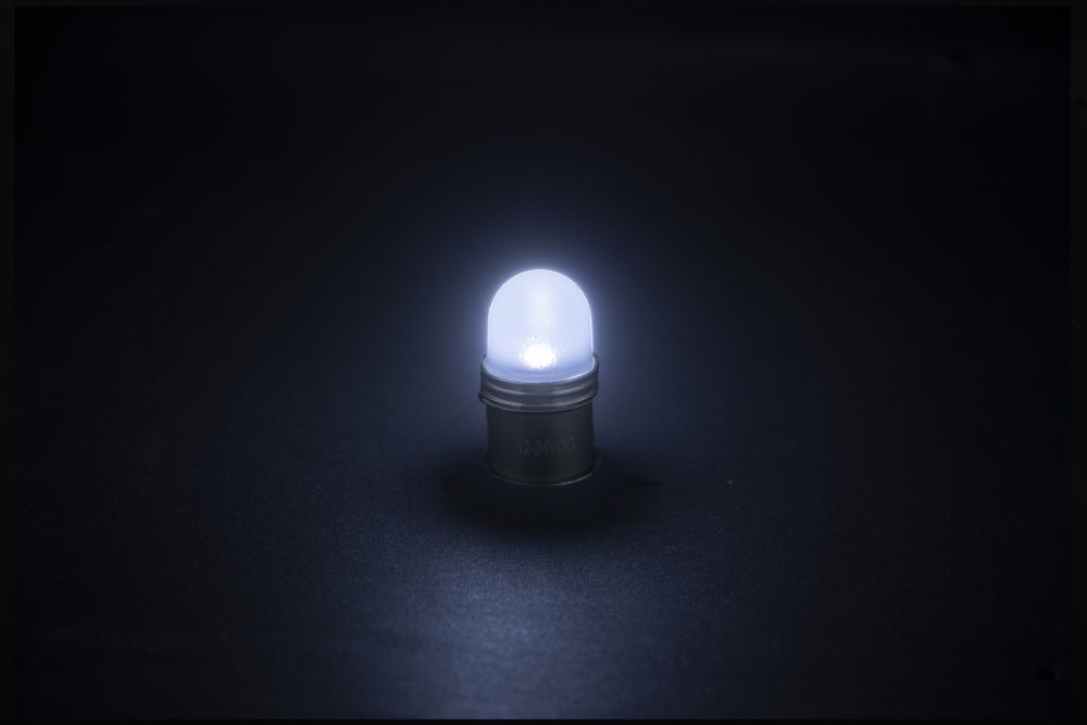 LED電球型キャンディバルブ 24V ホワイト 画像3