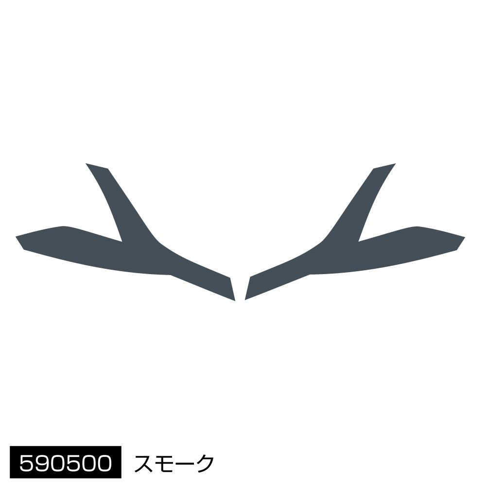 アイラインフィルム 20キャンター スモーク 画像2