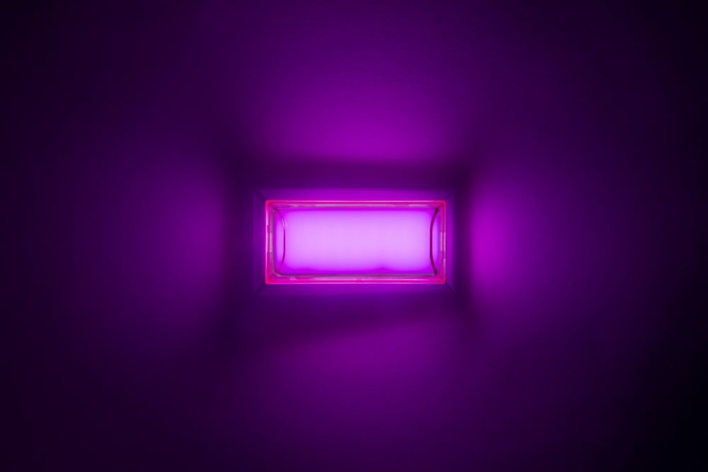 LEDミニフラットマーカー面発光タイプ ピンク 画像2